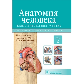 Анатомия человека: иллюстр. учебник : в 3 т. : Т. 2. Спланхнология и сердечно-сосудистая система И. В. Гайворонский Л. Л. Колесников Г. И. 2014 г. (Гэотар)