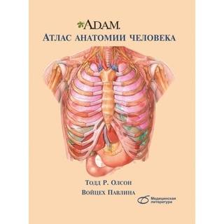 Атлас анатомии человека. A.D.A.M. Тодд Р. Олсон 2012 г. (Медицинская литература)