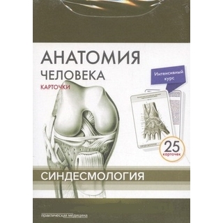 Анатомия человека: КАРТОЧКИ (25шт). Синдесмология. Русские и латинские названия анатомических структур Сапин М.Р. 2017 г. (Практическая медицина)