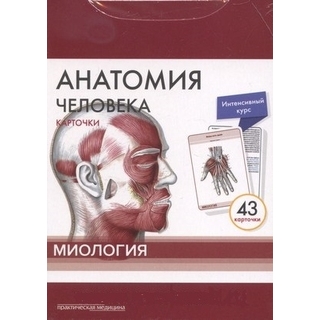 Анатомия человека: КАРТОЧКИ (43шт). Миология. Русские и латинские названия анатомических структур Сапин М.Р. 2019 г. (Практическая медицина)