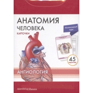 Анатомия человека: КАРТОЧКИ (45шт). Ангиология. Русские и латинские названия анатомических структур Сапин М.Р. 2017 г. (Практическая медицина)