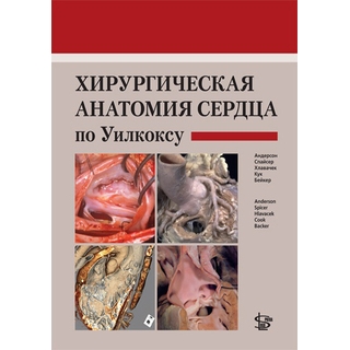 Хирургическая анатомия сердца по Уилкоксу Андерсон 2015 г. (Логосфера)